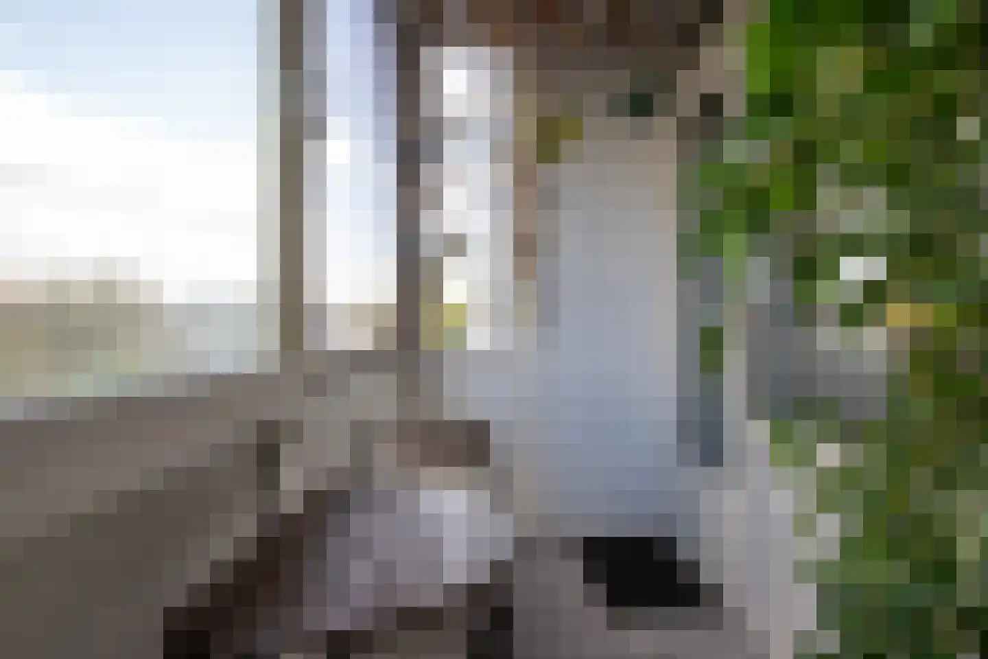 Willem de Zwijgersingel 54 Gouda thumbnail 17