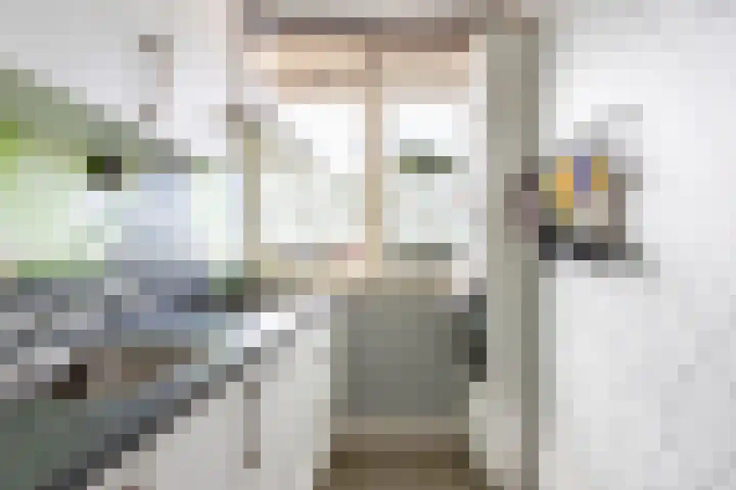 Willem de Zwijgersingel 54 Gouda thumbnail 23