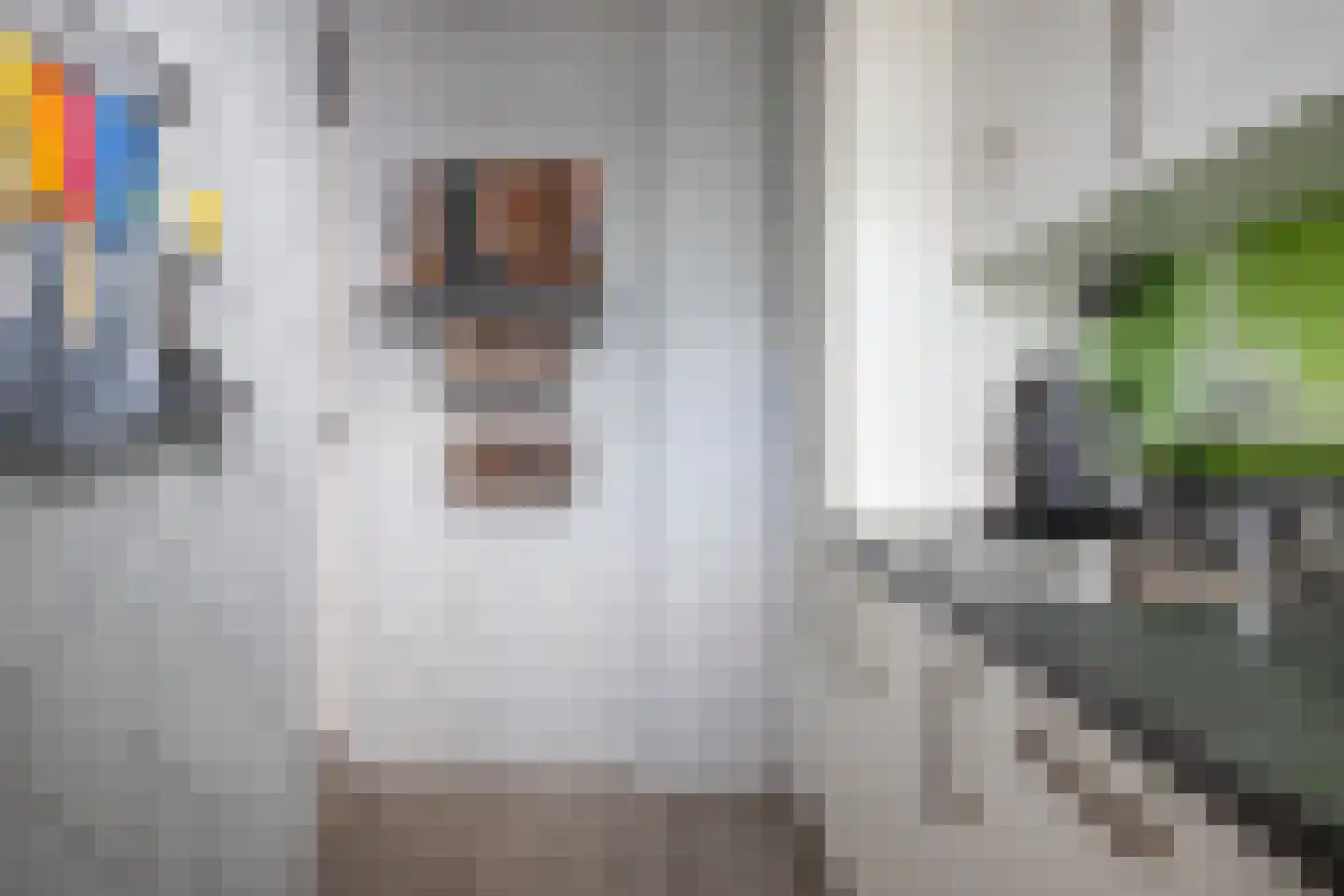 Willem de Zwijgersingel 54 Gouda thumbnail 24
