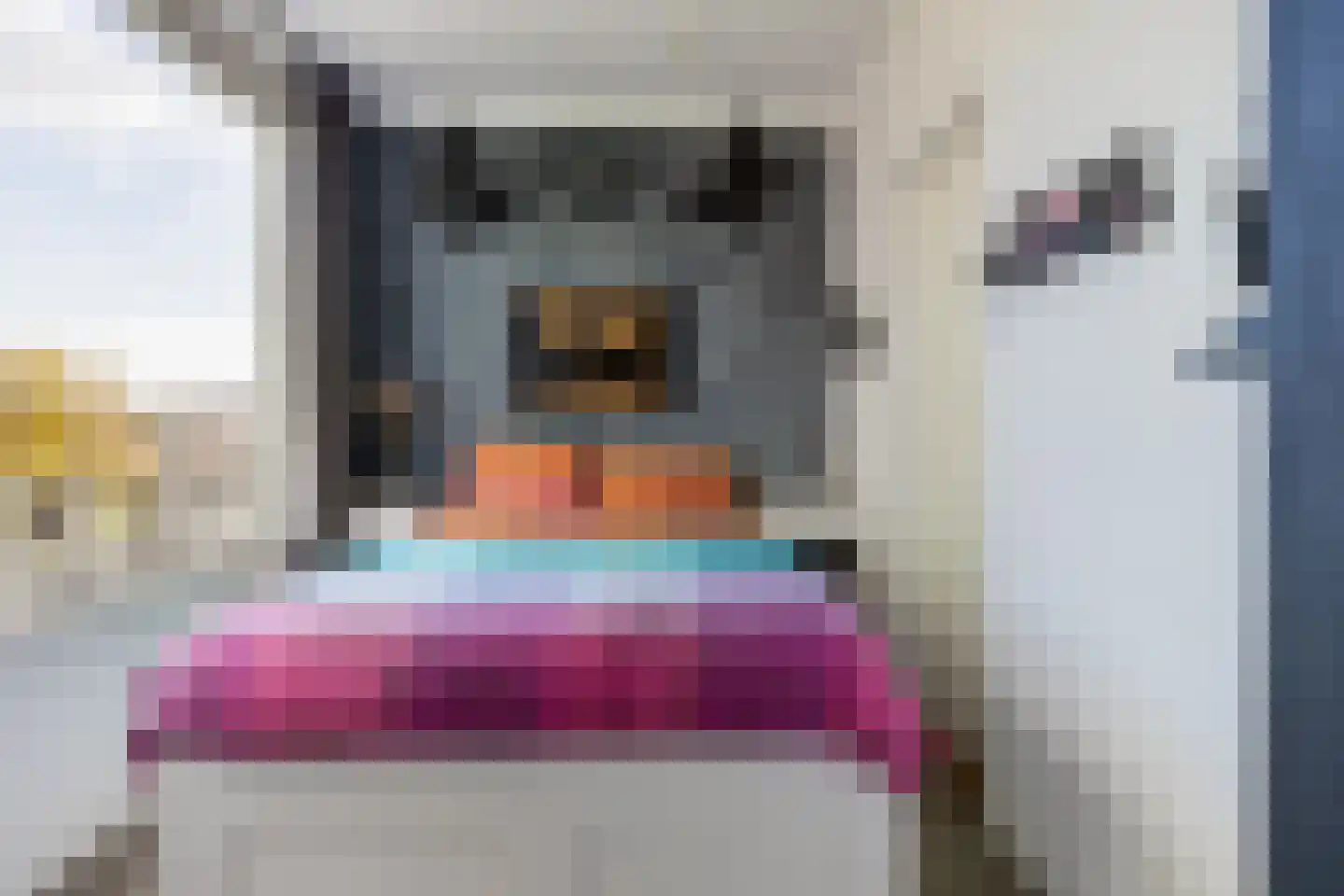 Willem de Zwijgersingel 54 Gouda thumbnail 27