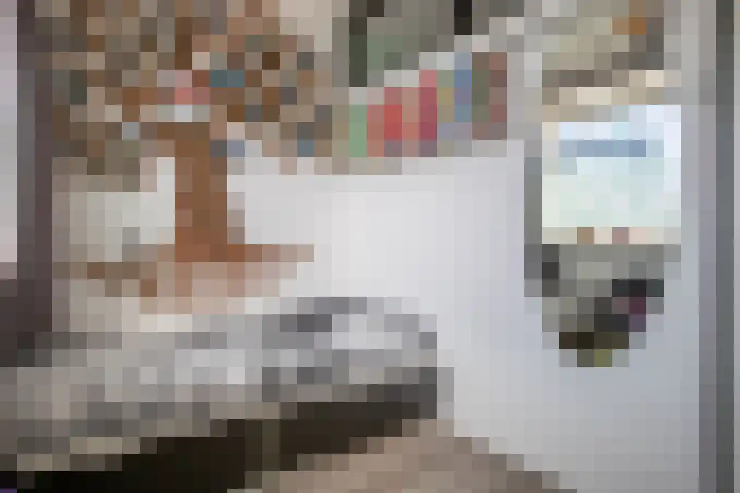 Willem de Zwijgersingel 54 Gouda thumbnail 30