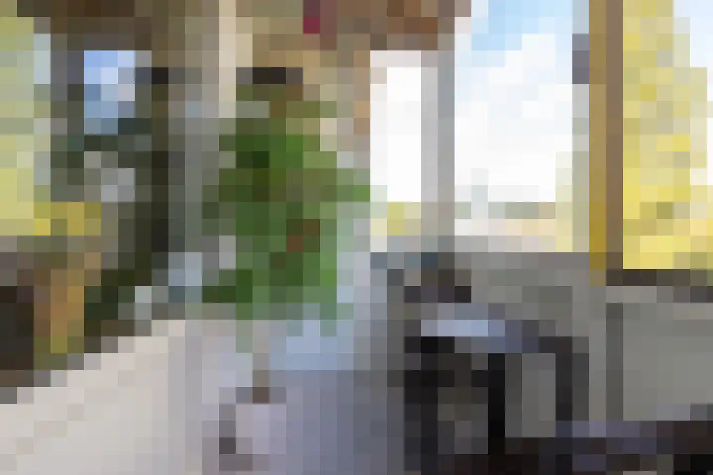 Willem de Zwijgersingel 54 Gouda thumbnail 5