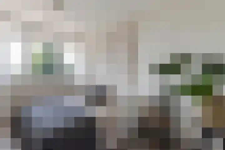 Willem de Zwijgersingel 58 Gouda thumbnail 17