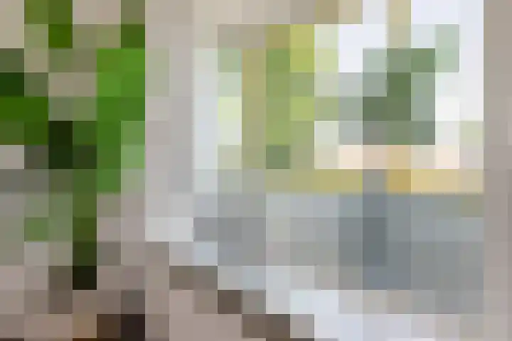 Willem de Zwijgersingel 58 Gouda thumbnail 21