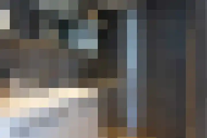 Willem de Zwijgersingel 58 Gouda thumbnail 24