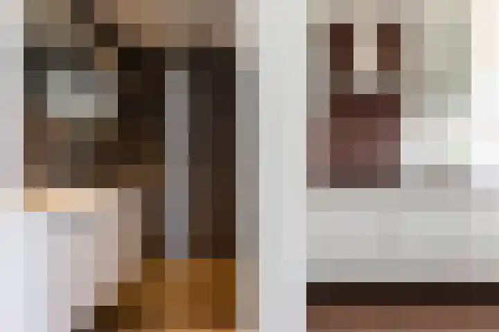Willem de Zwijgersingel 58 Gouda thumbnail 25