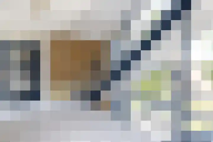 Willem de Zwijgersingel 58 Gouda thumbnail 31