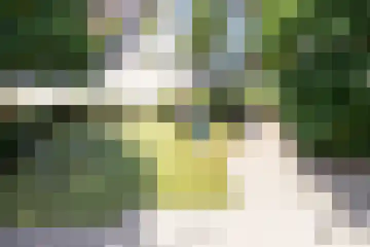 Willem de Zwijgersingel 58 Gouda thumbnail 32