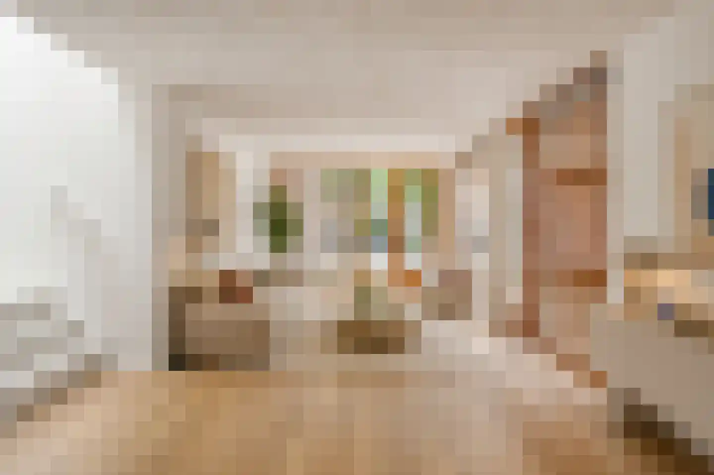 Willem de Zwijgerstraat 1 B Eindhoven thumbnail 8
