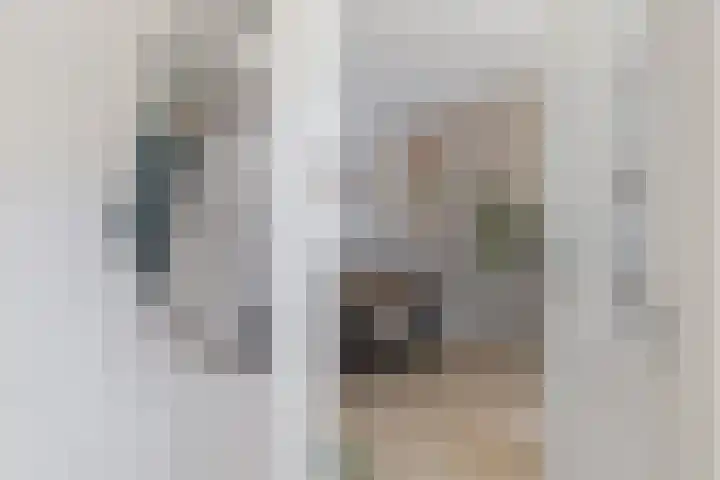 Willem de Zwijgerstraat 1 Strijen thumbnail 10