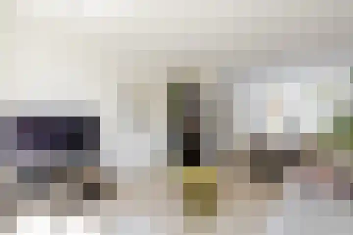 Willem de Zwijgerstraat 1 Strijen thumbnail 11
