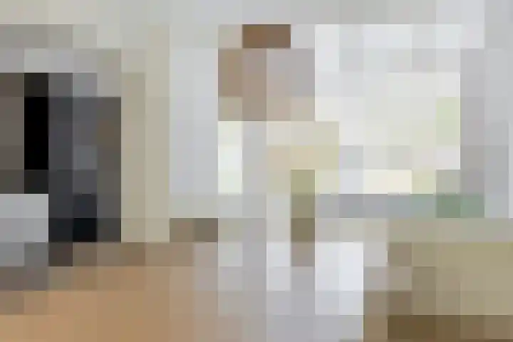 Willem de Zwijgerstraat 1 Strijen thumbnail 13