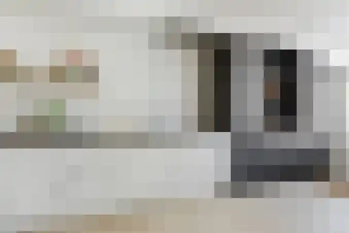 Willem de Zwijgerstraat 1 Strijen thumbnail 15
