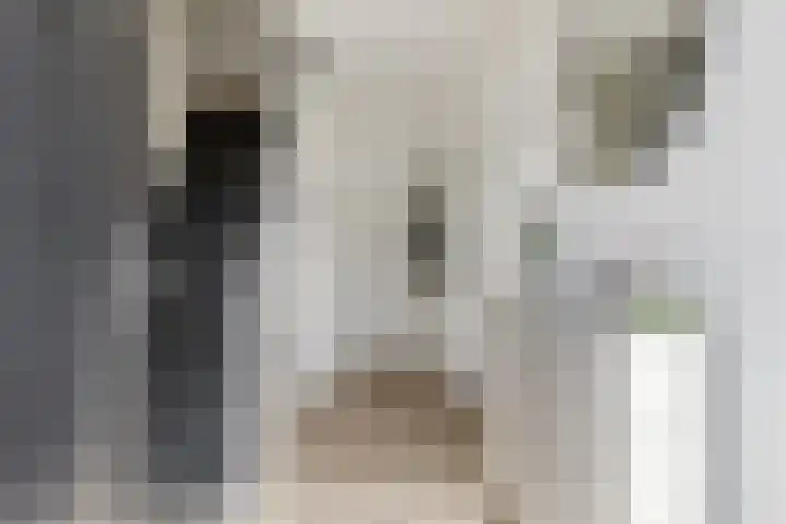 Willem de Zwijgerstraat 1 Strijen thumbnail 19