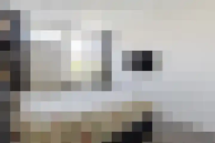 Willem de Zwijgerstraat 1 Strijen thumbnail 20