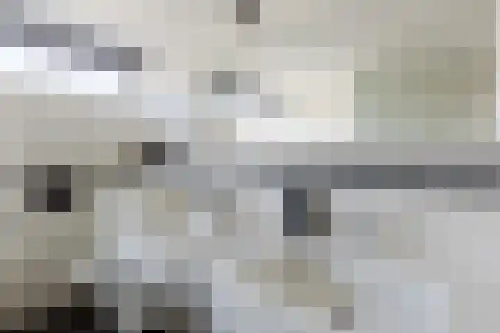 Willem de Zwijgerstraat 1 Strijen thumbnail 23