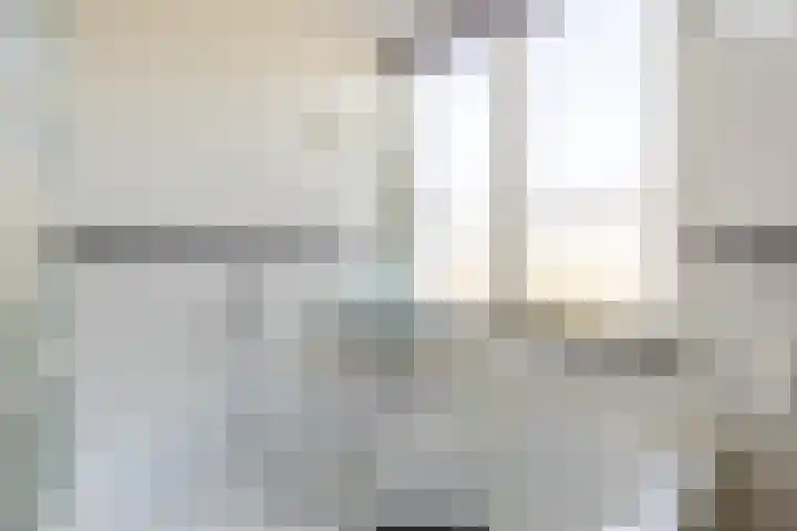 Willem de Zwijgerstraat 1 Strijen thumbnail 24