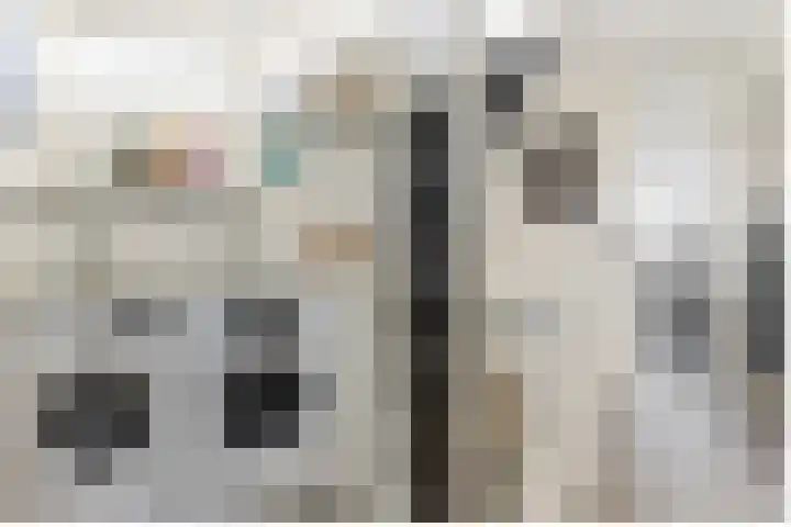 Willem de Zwijgerstraat 1 Strijen thumbnail 25