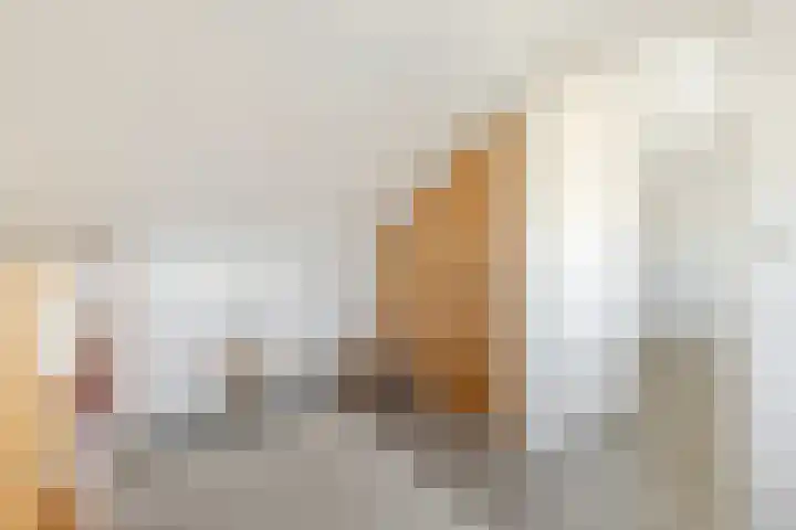 Willem de Zwijgerstraat 1 Strijen thumbnail 26