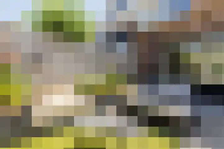 Willem de Zwijgerstraat 1 Strijen thumbnail 28