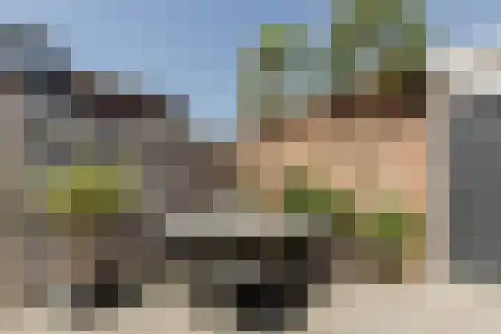 Willem de Zwijgerstraat 1 Strijen thumbnail 29