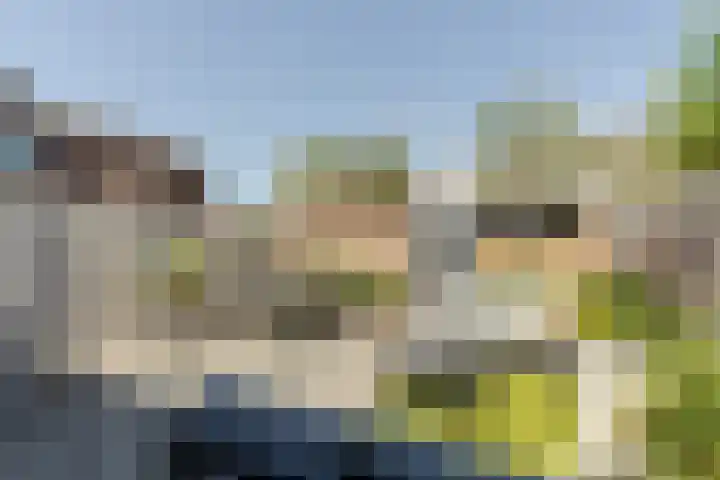 Willem de Zwijgerstraat 1 Strijen thumbnail 30