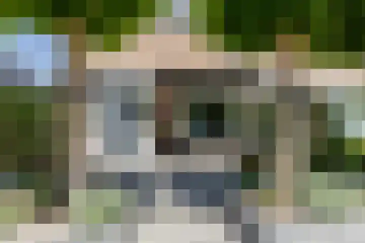 Willem de Zwijgerstraat 1 Strijen thumbnail 4