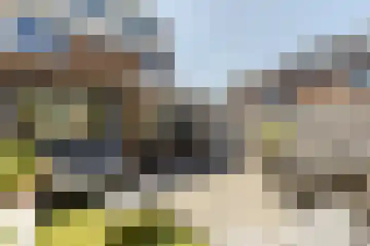 Willem de Zwijgerstraat 1 Strijen thumbnail 5