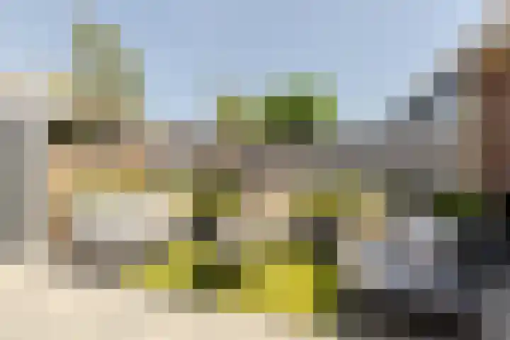Willem de Zwijgerstraat 1 Strijen thumbnail 6