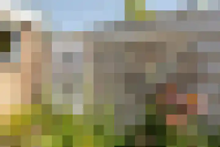 Willem de Zwijgerstraat 1 Strijen thumbnail 7