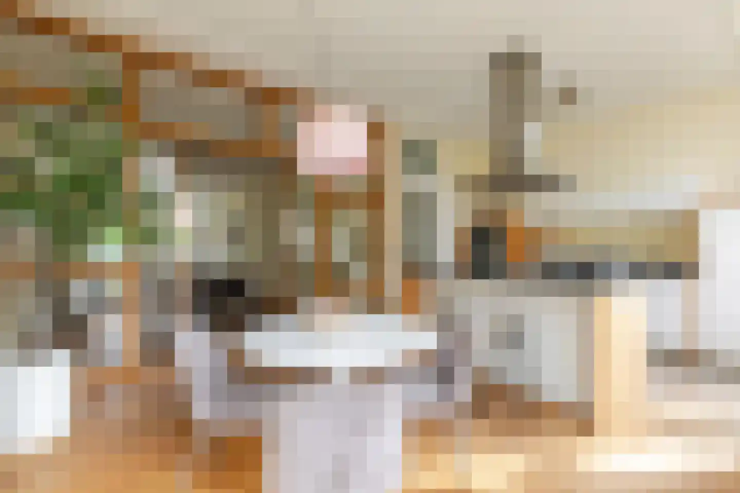 Willem de Zwijgerstraat 1 Utrecht thumbnail 12