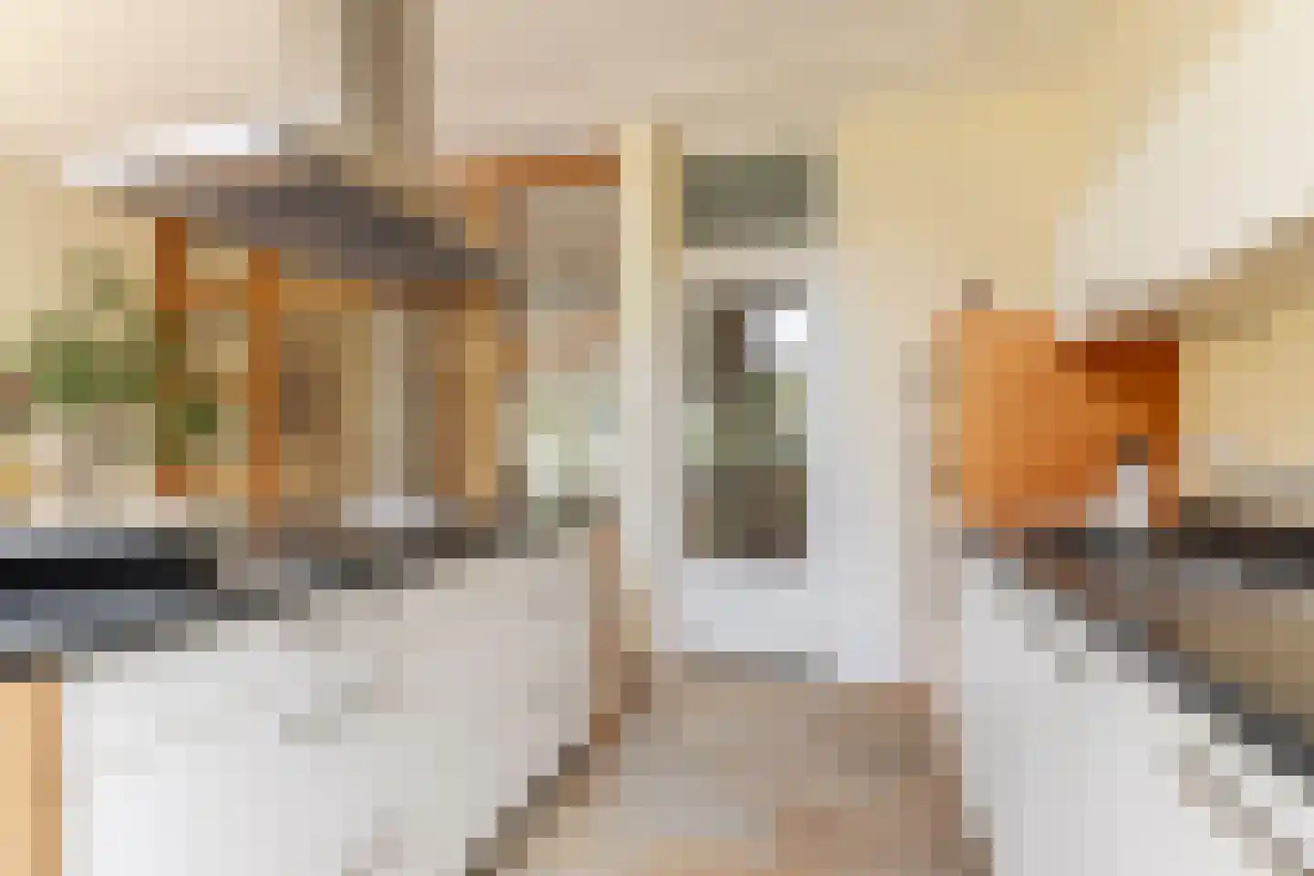 Willem de Zwijgerstraat 1 Utrecht thumbnail 14