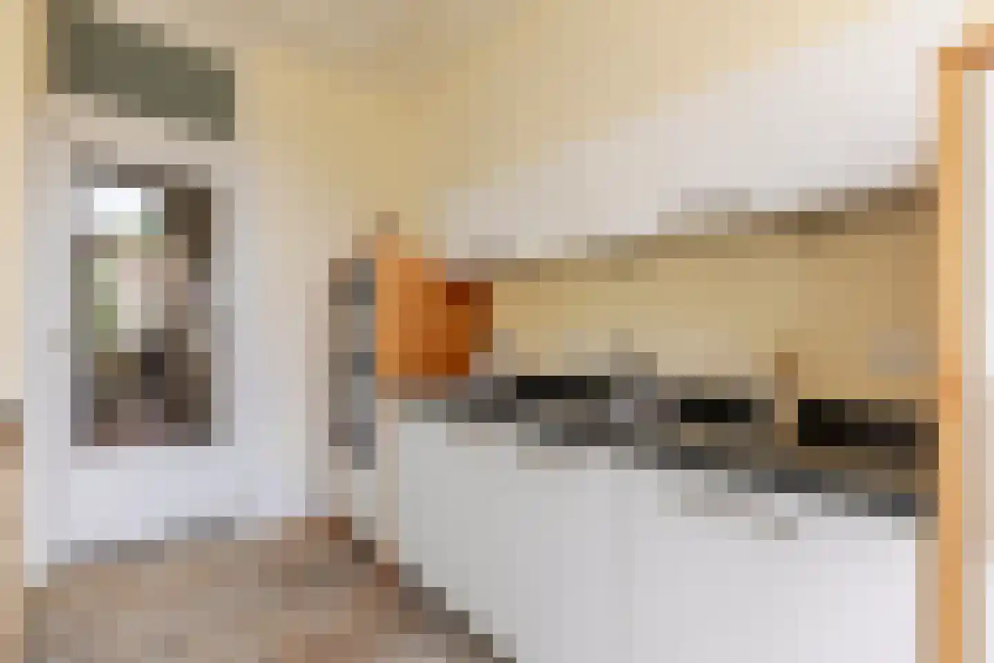 Willem de Zwijgerstraat 1 Utrecht thumbnail 15