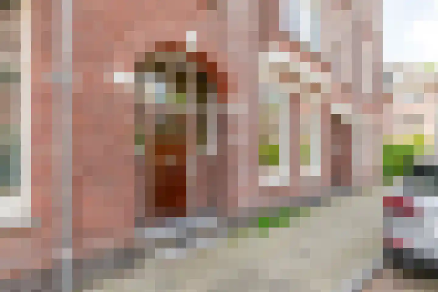 Willem de Zwijgerstraat 1 Utrecht thumbnail 43