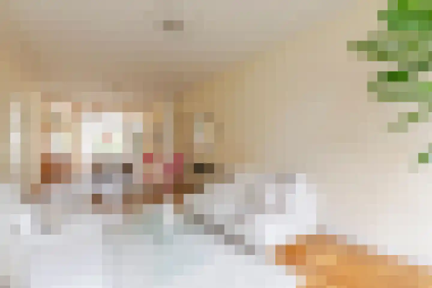 Willem de Zwijgerstraat 1 Utrecht thumbnail 8
