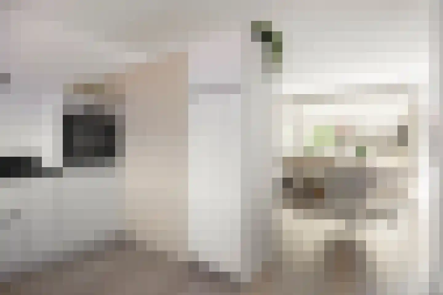 Willem de Zwijgerstraat 112 Hendrik-Ido-Ambacht thumbnail 13