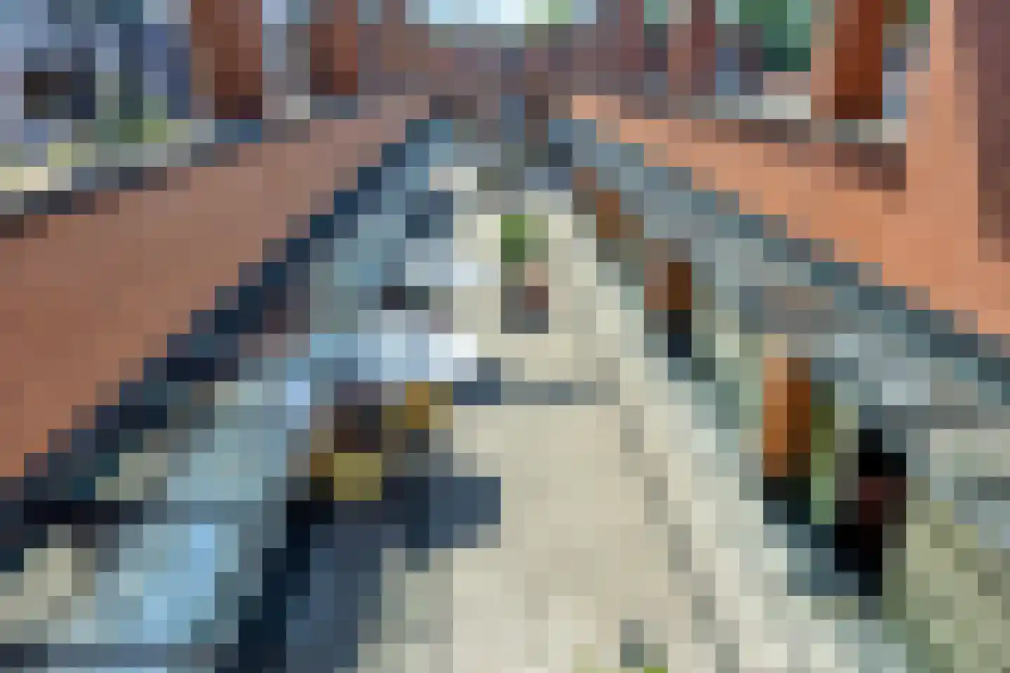 Willem de Zwijgerstraat 112 Hendrik-Ido-Ambacht thumbnail 31