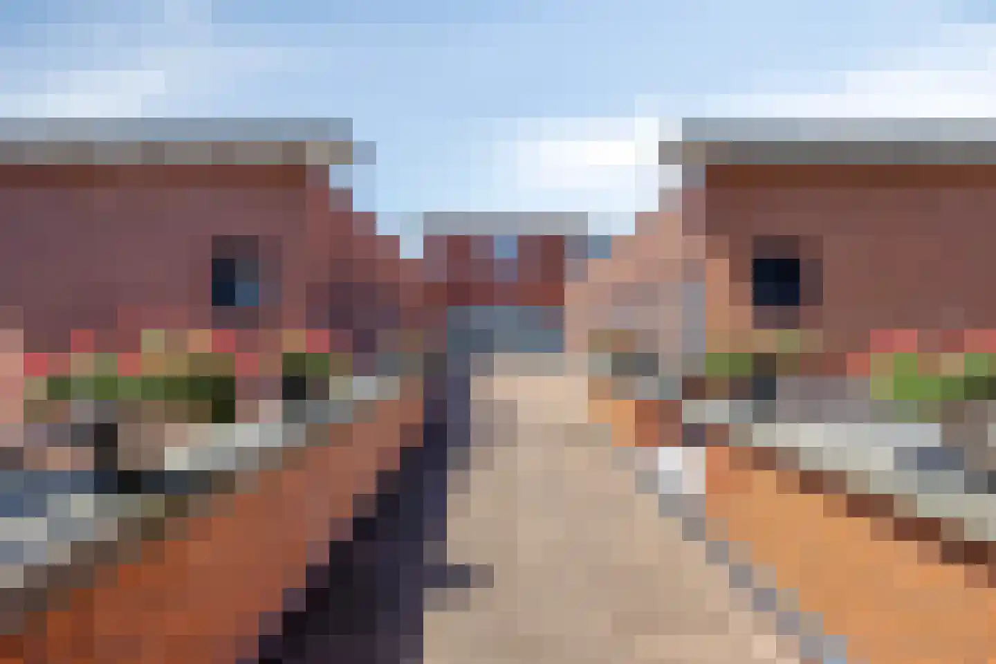Willem de Zwijgerstraat 112 Hendrik-Ido-Ambacht thumbnail 6