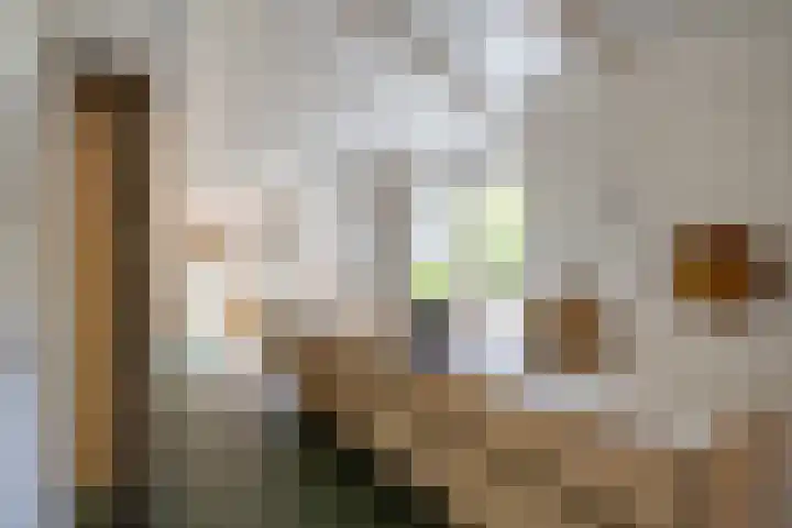 Willem de Zwijgerstraat 12 Baflo thumbnail 16