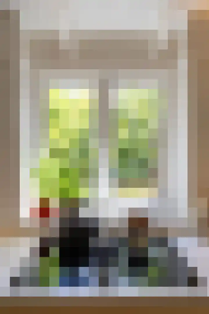 Willem de Zwijgerstraat 12 Baflo thumbnail 18