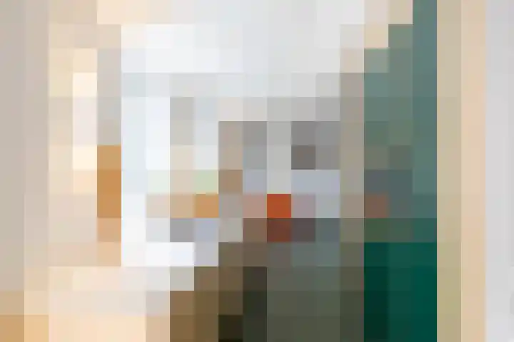 Willem de Zwijgerstraat 12 Baflo thumbnail 20