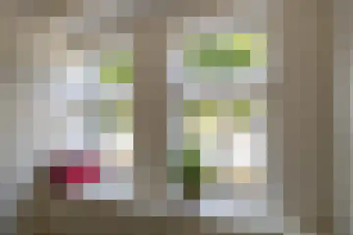 Willem de Zwijgerstraat 12 Baflo thumbnail 22