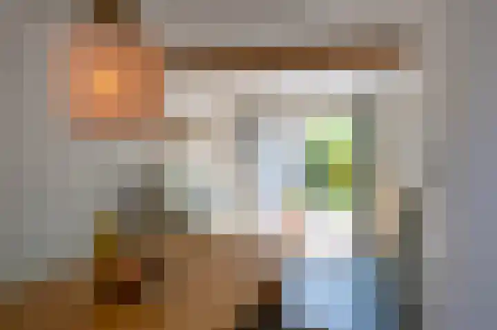 Willem de Zwijgerstraat 12 Baflo thumbnail 24