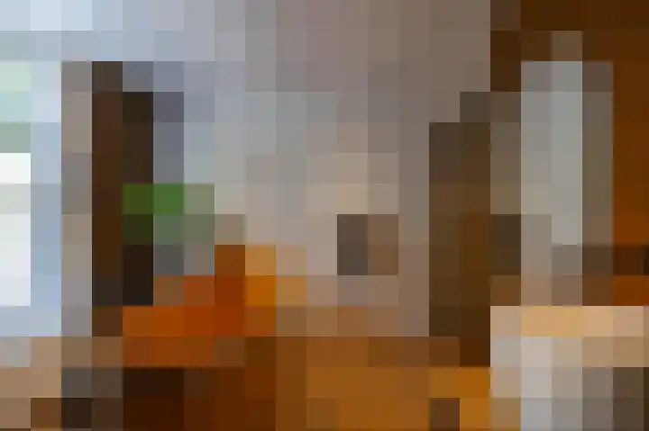 Willem de Zwijgerstraat 12 Baflo thumbnail 25