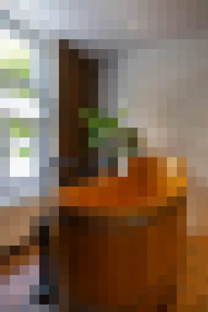 Willem de Zwijgerstraat 12 Baflo thumbnail 26