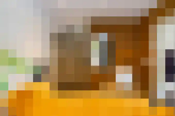 Willem de Zwijgerstraat 12 Baflo thumbnail 27