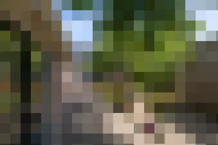 Willem de Zwijgerstraat 12 Baflo thumbnail 30
