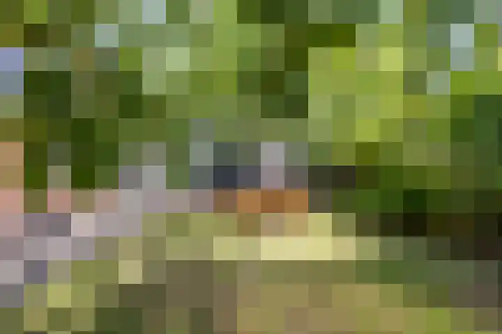 Willem de Zwijgerstraat 12 Baflo thumbnail 31