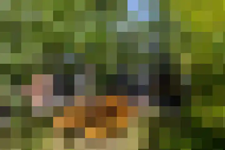 Willem de Zwijgerstraat 12 Baflo thumbnail 32