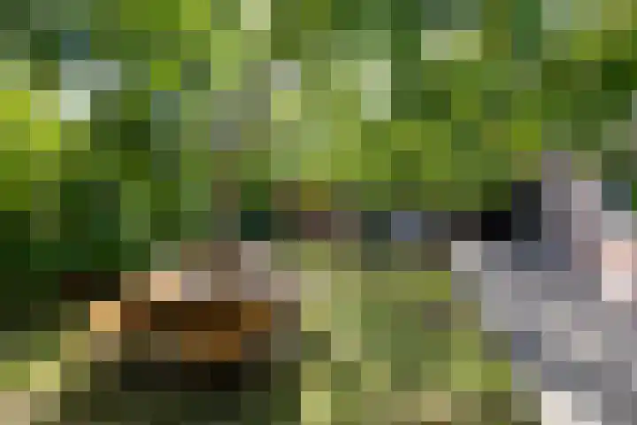 Willem de Zwijgerstraat 12 Baflo thumbnail 33